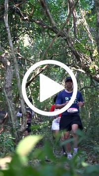 BIB:  <button type="button" onclick="openModal(28056416)" class="btn btn-primary btn-sm float-right" data-toggle="modal" data-target=".modal-high-quality">
                <i class="fa fa-download"></i> Download
                </button>